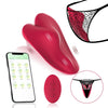 App Controlled Magnetic Wearable Panty Vibrator