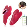 App Controlled Magnetic Wearable Panty Vibrator